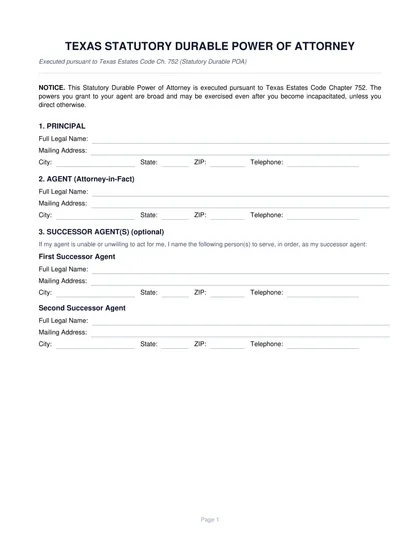 texas power of attorney form